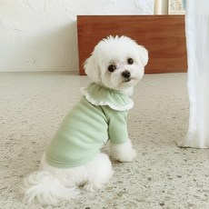 小狗小褶邊茶 DT053, 綠色