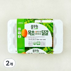 풀무원 1+등급 무항생제 목초란, 15구, 2개