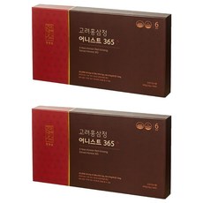 천양삼 6년근 고려홍삼정 어니스트 365 홍삼스틱 60포 선물세트 + 쇼핑백, 600g, 2개