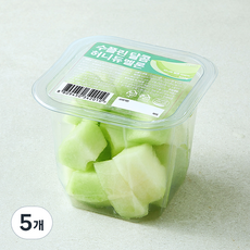 수플린 달콤 허니듀멜론, 5개, 500g