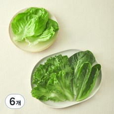 그린래빗 무농약 인증 유러피안 트리플믹스 샐러드, 100g, 6개