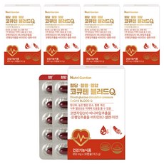 뉴트리가든 코큐텐 블러드Q 16.5g, 5개, 30정