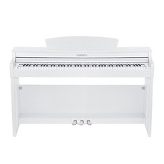 삼익악기 디지털피아노 교육기능 탑재 방문설치, DP-300, 화이트, 1개