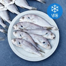 영광 백조기 칠가 굴비 14미 (냉동), 1개, 1.5kg