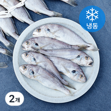 영광 백조기 칠가 굴비 14미 (냉동), 2개, 1.5kg