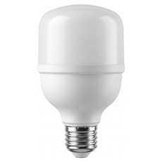 TOA 東亞照明 LED T型燈泡 LLA031T-20AAL-EV 20W, 燈泡色, 1個