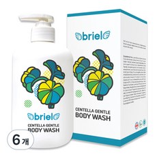 디보트브리엘 병풀 젠틀 바디워시 플레쉬허그향, 6개, 500ml