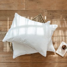 The Zari D-Basic 飯店用超細纖維拉鍊式枕芯, 白色, 2個