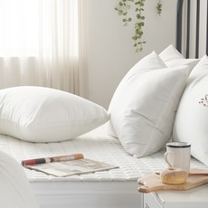 gBEDDING 60支棉素色棉質枕頭套+枕芯 2入, 白色的