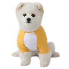 LuckyPetter 狗狗拉克蘭袖T恤, 白色 + 黃色