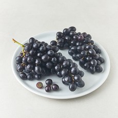 곰곰 칠레산 블랙포도, 1.2kg, 1개