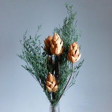 GAPANG 乾花04號, 混色