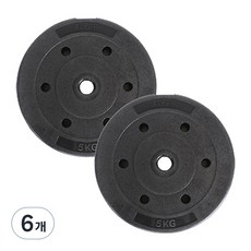 아리프 플렉스 원판, 5kg, 6개