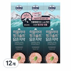 히말라야핑크솔트 담은 치약 튜브형 아이스, 100g, 12개