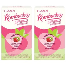 티젠 콤부차 스트로베리키위, 5g, 10개입, 2개