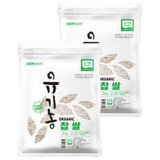 대구농산 유기농 찹쌀, 1kg, 2개