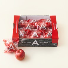 셀렉트팜 세척사과, 1개, 1.5kg(8~10입)