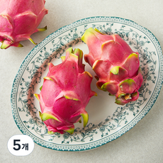 수플린 베트남 용과 3입, 5개, 1.4kg