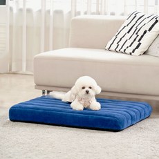 개과천선 강아지 3D 메쉬 극세사 S퍼 침대 방석 쿠션, 네이비, 1개