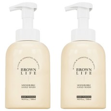 브라운라이프 아기 핸드워시 대용량 거품형 저자극 손세정제 베이비파우더향, 500ml, 2개