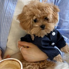 Puppy Dream 狗狗小熊鬚邊牛仔連帽T恤 00128, 1個, 深藍色