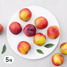 다조은 경산 당도선별 천도복숭아, 800g, 5개