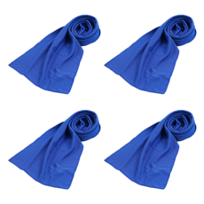 Bacogel 涼感乾式運動毛巾 80 x 30 cm, 藍色, 4個