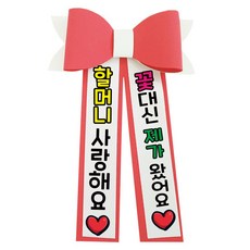 러블리팜 에바폼 컬러 인간 화환 9할머니사랑해, 코랄핑크, 1개
