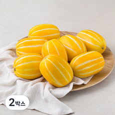 아주마 성주산 산지직송 에어포장 참외 7~9개입, 2kg, 2박스