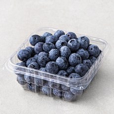 곰곰 친환경 블루베리, 100g, 1팩
