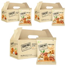 투데이넛 너트한줌 요거트 견과세트 600g, 3세트