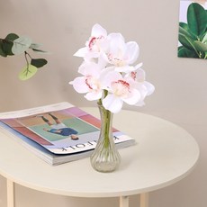 morningscent 蕙蘭西洋蘭人造花, 6個