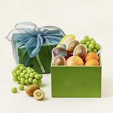 온브릭스 과일 6종 선물세트 토파즈 3호 2.77kg(고급보자기 포함), 1세트