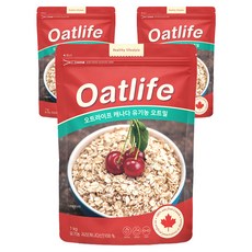 Dubosikpum 燕麥片, 1kg, 3個