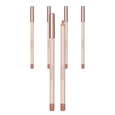 더샘 커버 퍼펙션 립 펜슬 2g, 01 니어, 5개