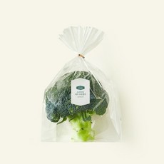 프리미엄 제주 브로콜리, 250g, 1개, 1개입