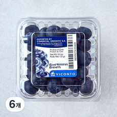 칠레산 점보 블루베리, 6개, 125g
