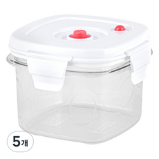 이지앤프리 에어제로 진공 밀폐용기, 5개, 650ml