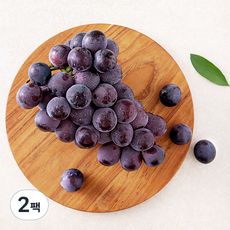 프레시픽 유명산지 거봉, 2팩, 450g