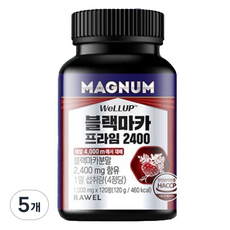 매그넘 로엘 웰업 블랙마카 프라임 2400 120정, 120g, 5개