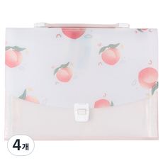 포텐키트 휴대형 아코디언파일 32.7 x 24.2 x 2.4 cm, 타입 5, 4개