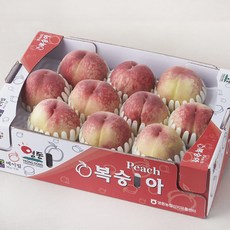메이빌 GAP 인증 영동 부드러운 백도복숭아 9~12입, 3kg, 1개