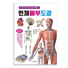 [시그마북스]인체 해부 도감 : 한 권으로 내 몸 곳곳을 이해하는, 시그마북스, 미즈시마 아키히코