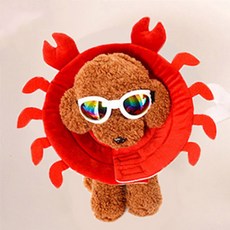 도그아이 강아지 고양이 깔대기 넥카라 게순이 5호, 5호-게순이, 1개