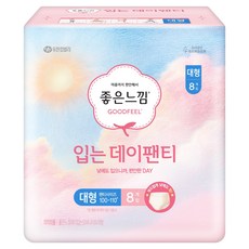 좋은느낌 입는 데이팬티 생리대, 대형, 8개입, 1개
