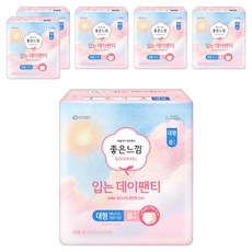 좋은느낌 입는 데이팬티 생리대, 대형, 8개입, 6개