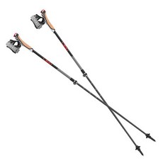 LEKI Instructor Lite 北歐式健走杖 653 26341, 混合色, 1套