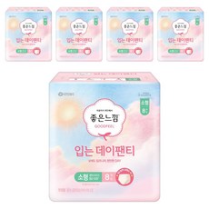 좋은느낌 입는 데이팬티, S, 8개입, 5개