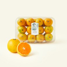 부무현 농부의 감귤, 1.5kg(로열과), 1개