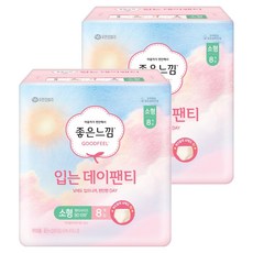 좋은느낌 입는 데이팬티 생리대, S, 8개입, 2개